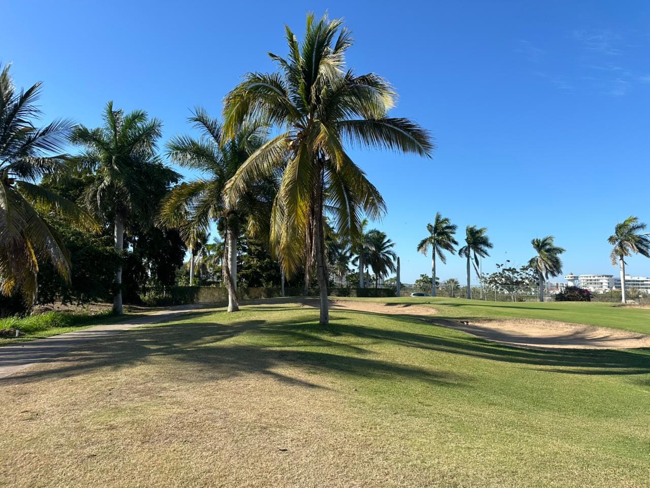 Campo de golf de 27 hoyos rodeado de palmeras en El Cid Mazatlán